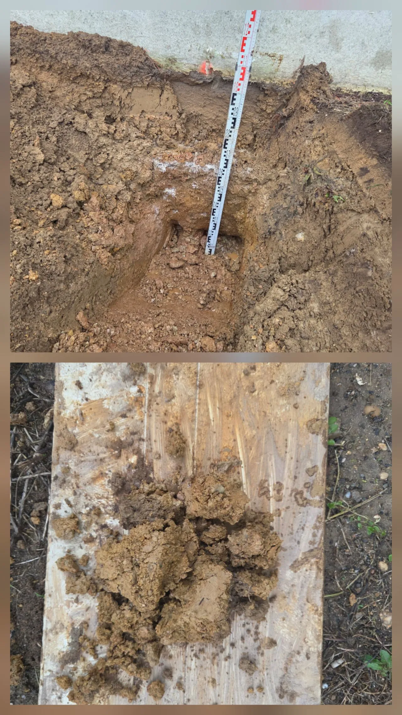 Côté mitoyen A sans drainage - Argile humide et homogène en pied de fondation, échantillon de sol sur planche